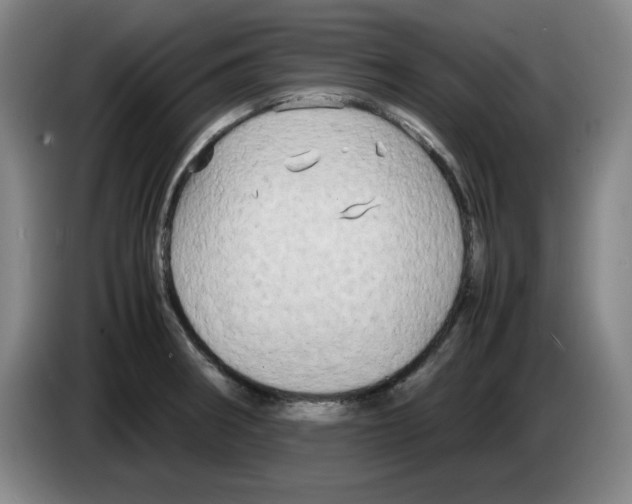 X0000083601282200703091733