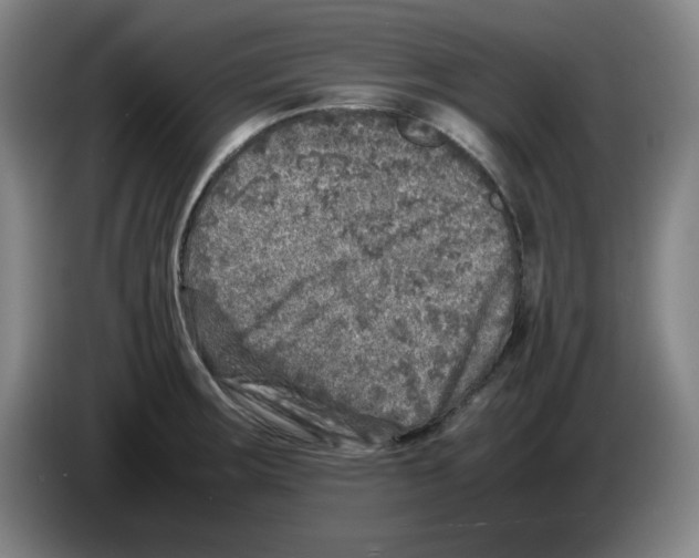 X0000083601283200703091733