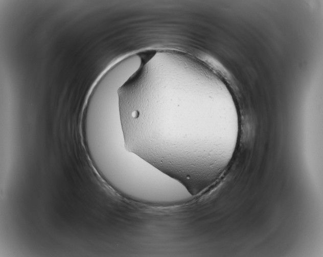 X0000083601284200703091733