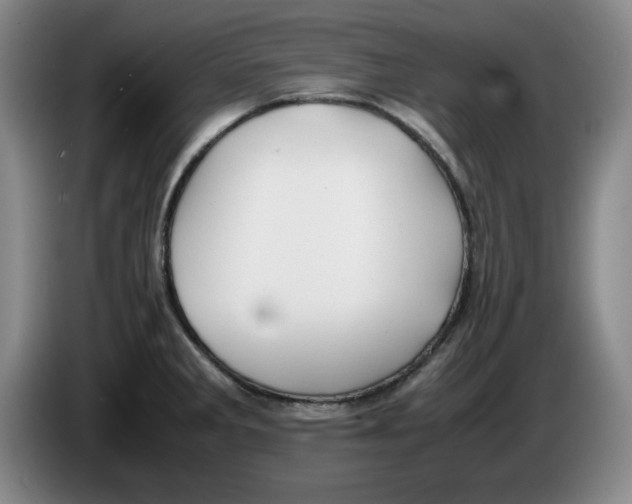 X0000083601285200703091733