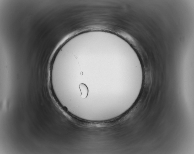 X0000083601286200703091733