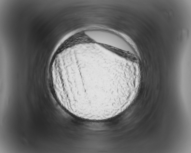 X0000083601287200703091733