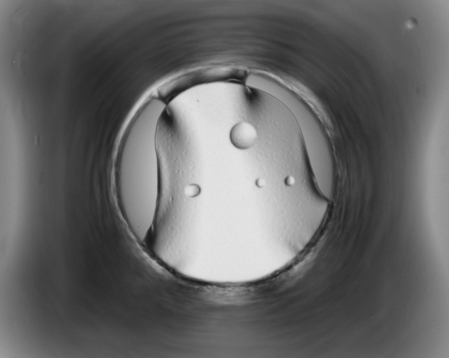 X0000083601288200703091733