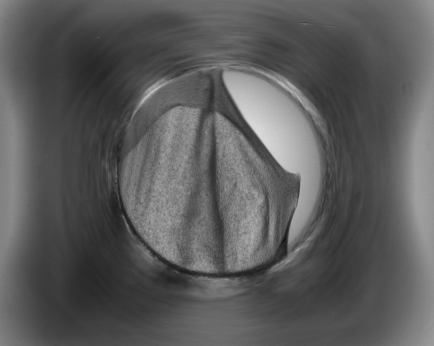 X0000083601289200703091733