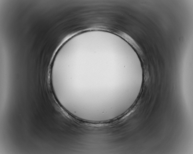 X0000083601292200703091733