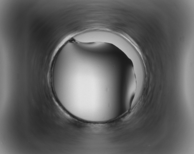 X0000083601293200703091733