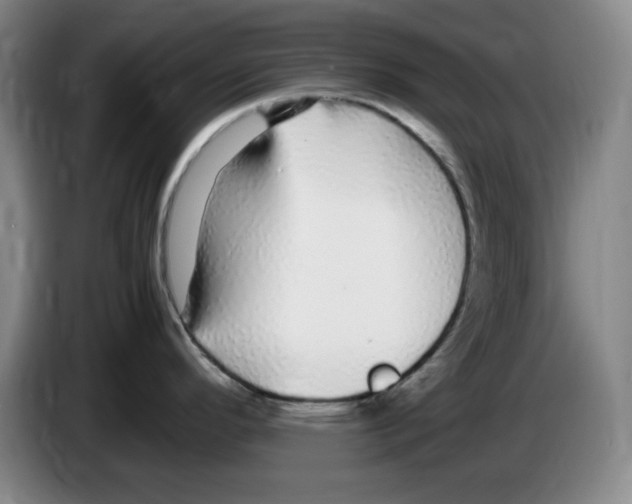 X0000083601296200703091733