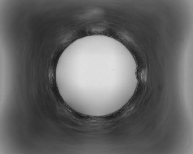 X0000083601299200703091733