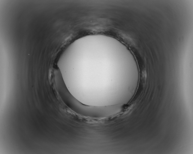 X0000083601300200703091733