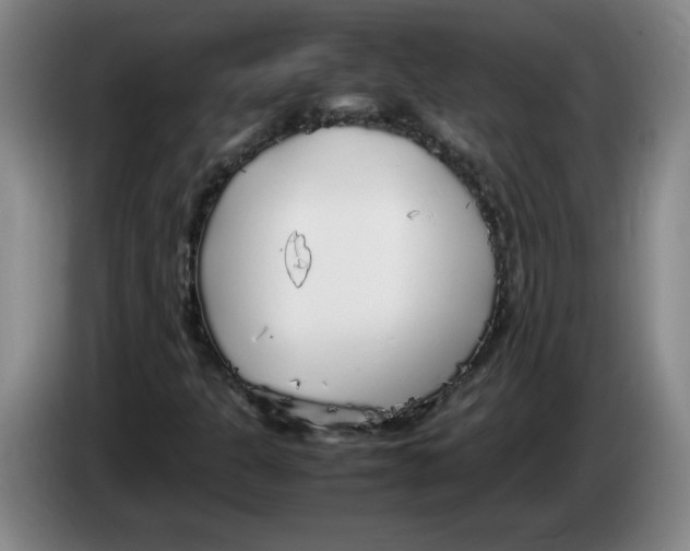 X0000083601301200703091733