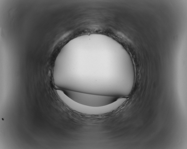 X0000083601302200703091733