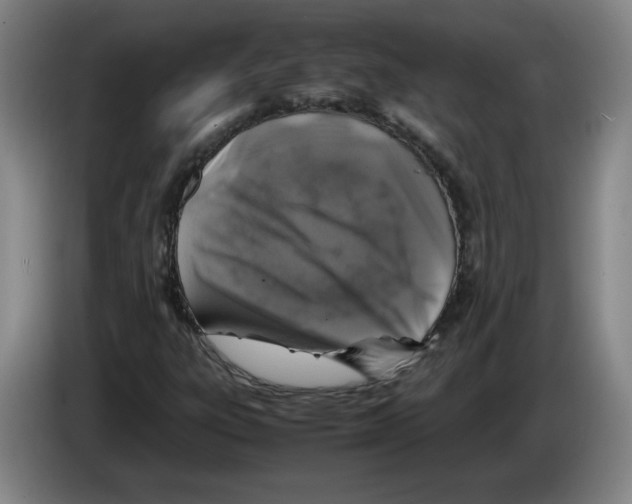 X0000083601303200703091733