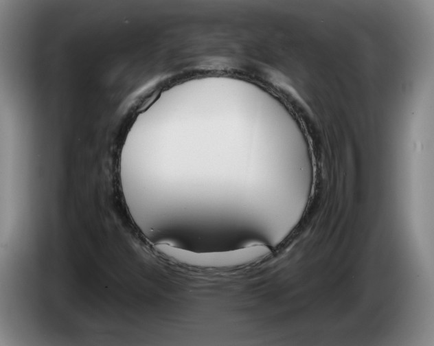 X0000083601304200703091733