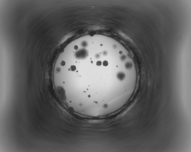 X0000083601305200703091733