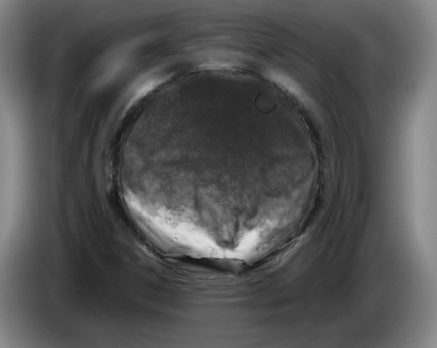 X0000083601306200703091733