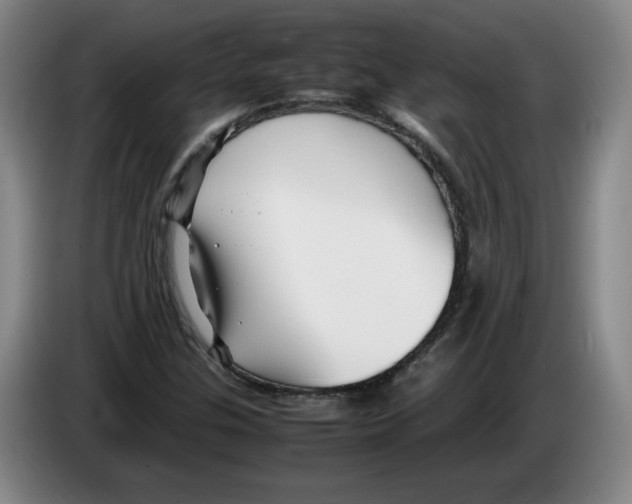 X0000083601307200703091733