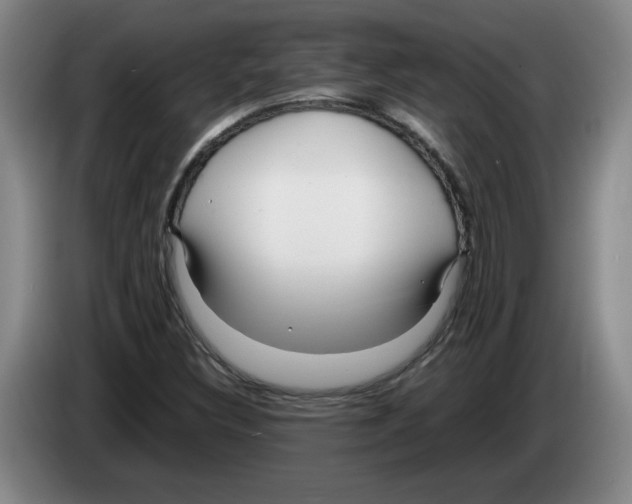 X0000083601308200703091733