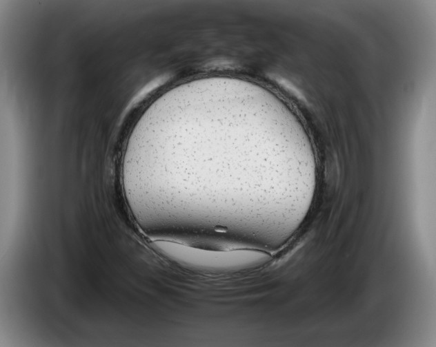 X0000083601309200703091733