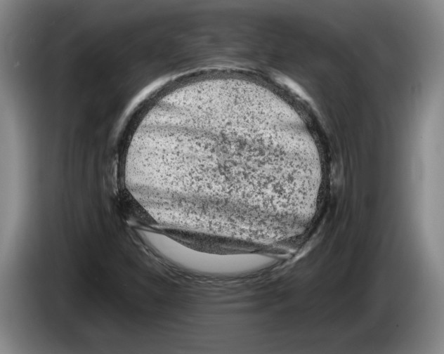 X0000083601310200703091733