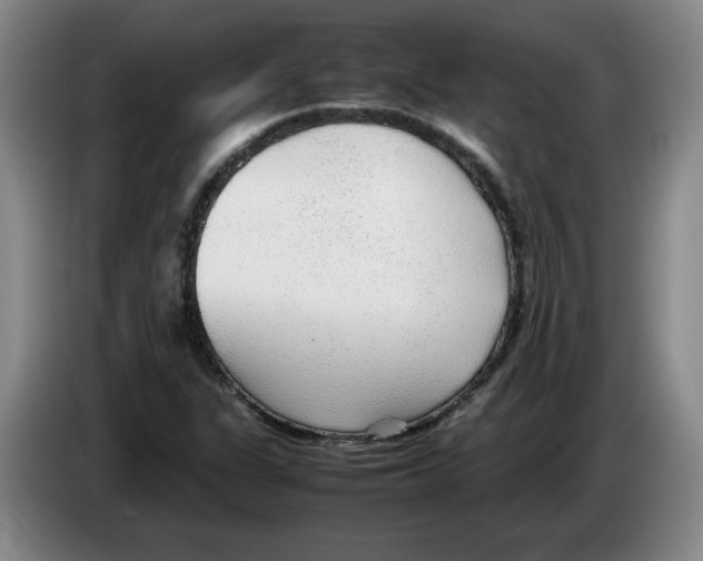 X0000083601311200703091733