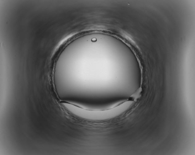 X0000083601312200703091733