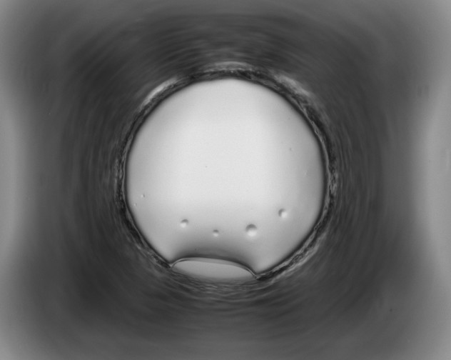 X0000083601313200703091733