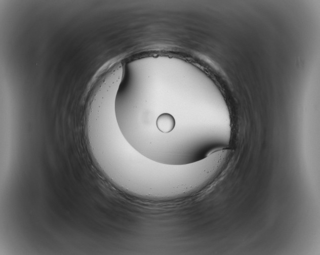 X0000083601314200703091733