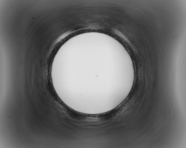 X0000083601315200703091733