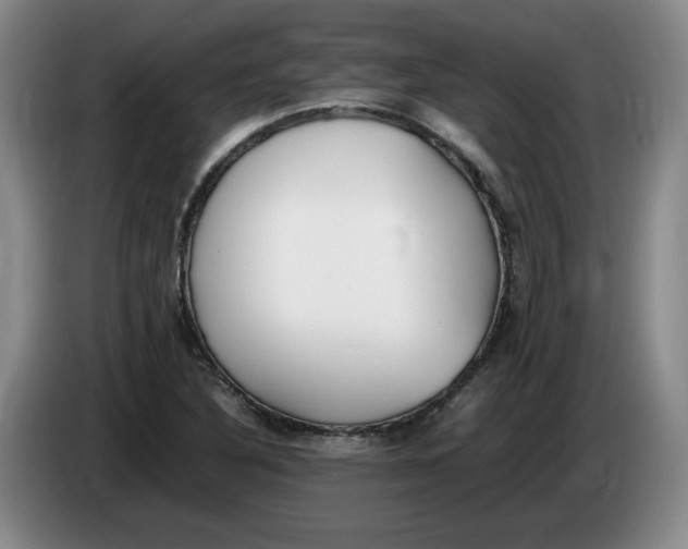 X0000083601316200703091733