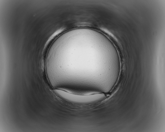 X0000083601317200703091733