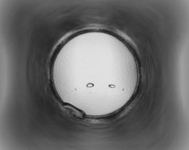 X0000083601318200703091733