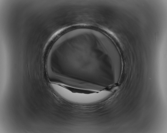 X0000083601319200703091733