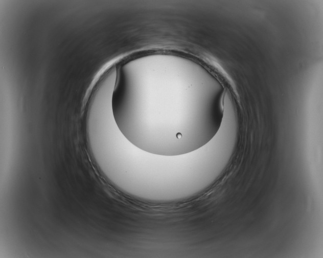 X0000083601320200703091733