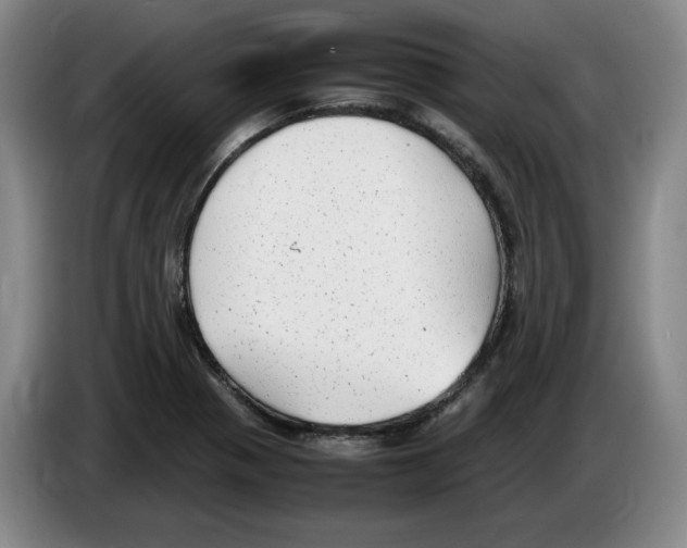 X0000083601321200703091733