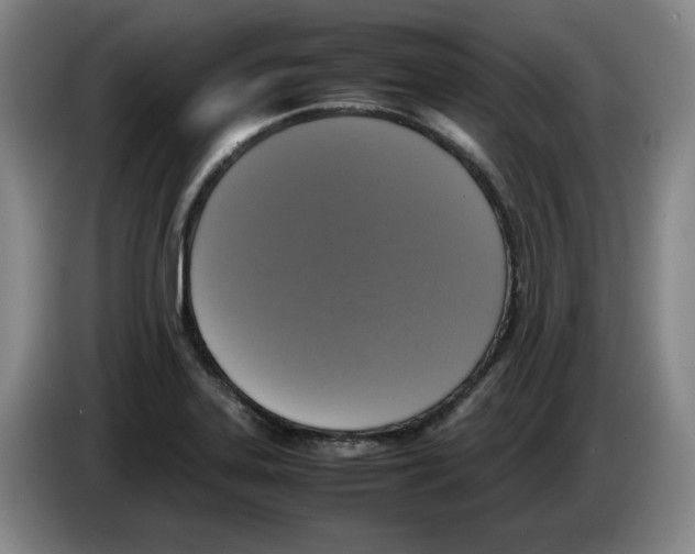 X0000083601323200703091733