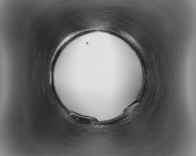 X0000083601324200703091733