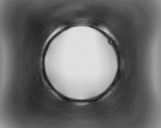 X0000083601325200703091733