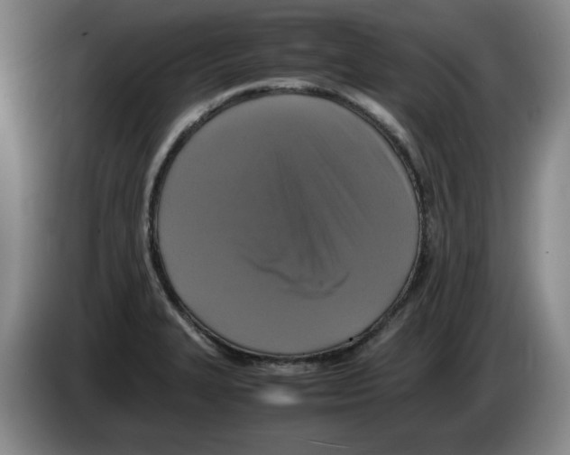 X0000083601327200703091733