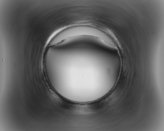 X0000083601328200703091733