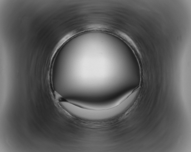 X0000083601330200703091733