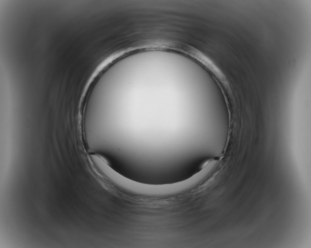 X0000083601332200703091733