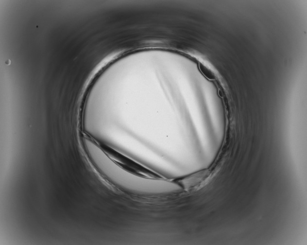 X0000083601333200703091733