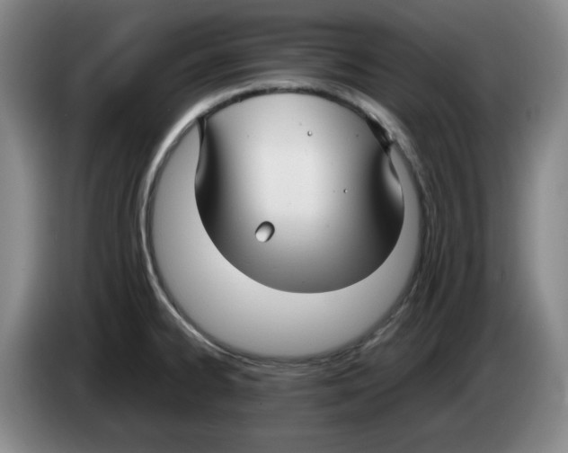 X0000083601334200703091733