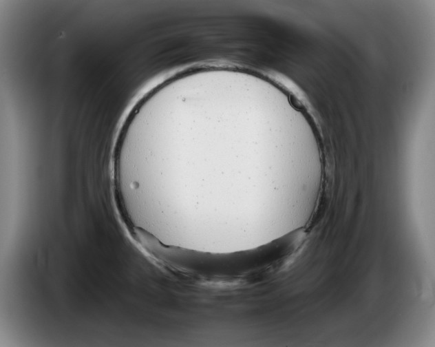 X0000083601335200703091733