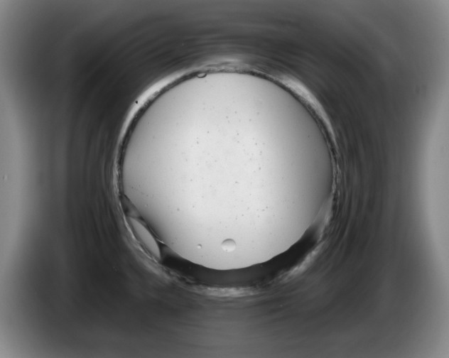 X0000083601336200703091733