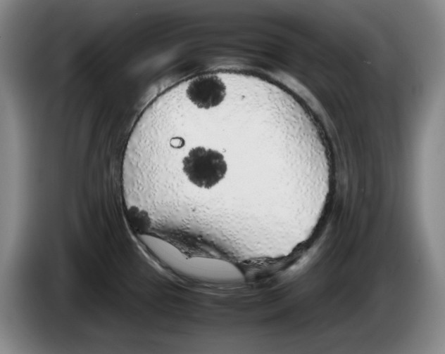 X0000083601337200703091733