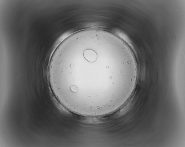 X0000083601338200703091733