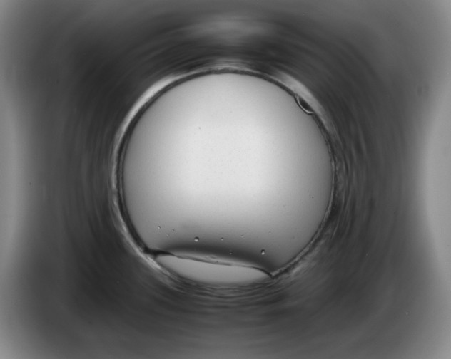 X0000083601339200703091733