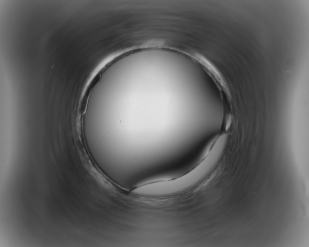 X0000083601340200703091733