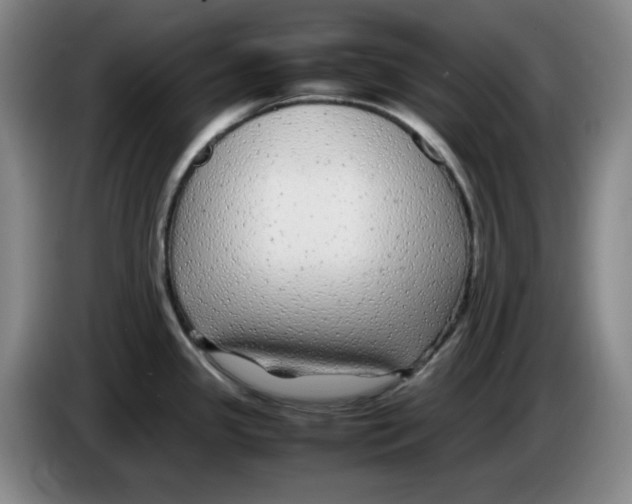 X0000083601341200703091733